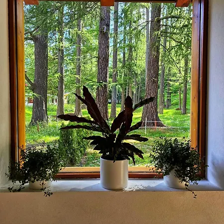 Hotel Laerchen Oberwald