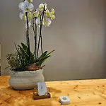 Laerchen Hotel Oberwald